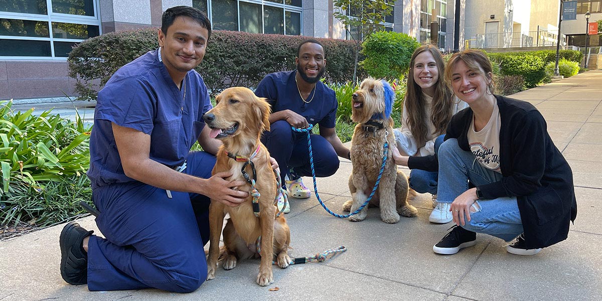 Four medical students pose outdoors with two therapy dogs on a campus walkway. Two students wear clinical scrubs while the group smiles and interacts with the dogs during a wellness or community activity.