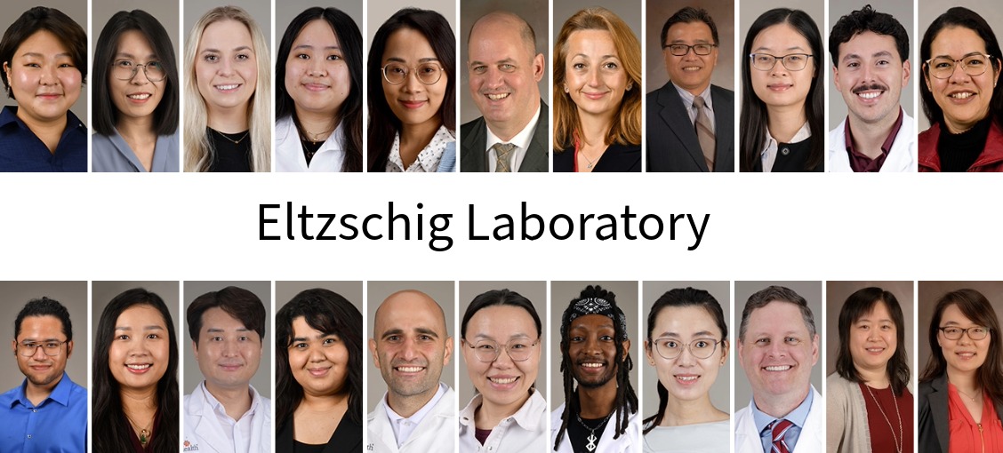 Eltzschig Laboratory Collage- May 29, 2026