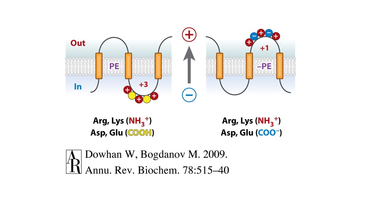 Bogdanov Graphic 2