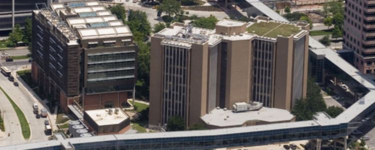 Ariel View of Cizik School of Nursing