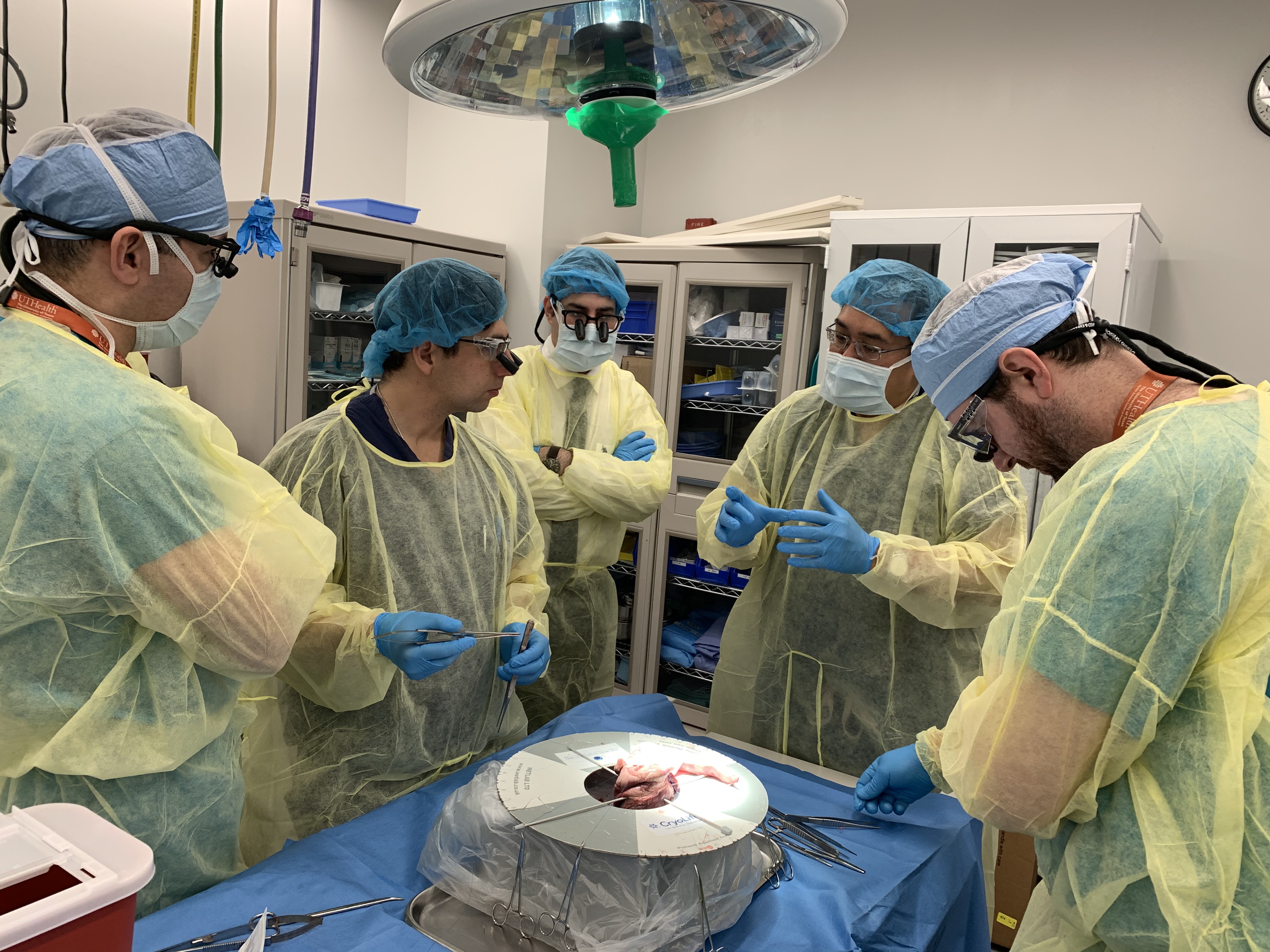 Aortic Surgery Simulation Lab