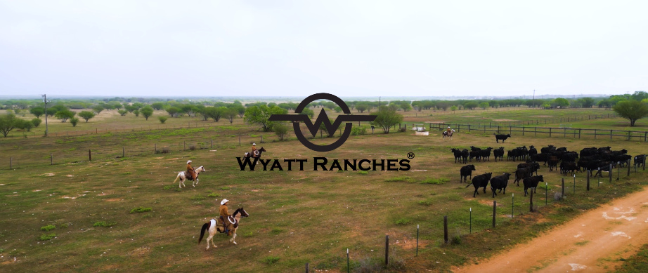 Wyatt Ranches image