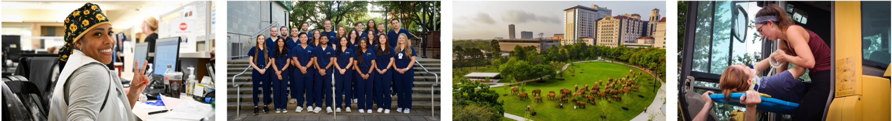 med student collage