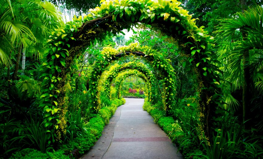circular garden