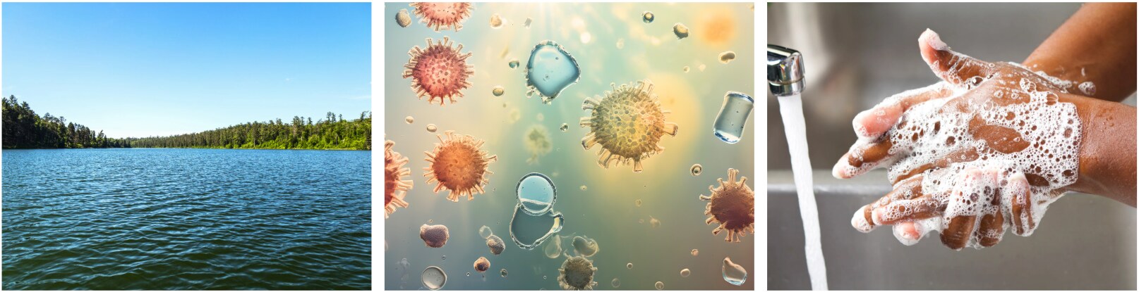 water safety from bacteria collage 2