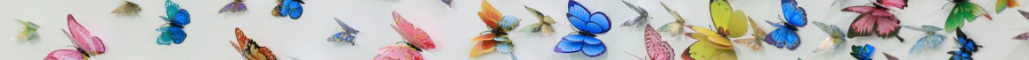 Butterfly row