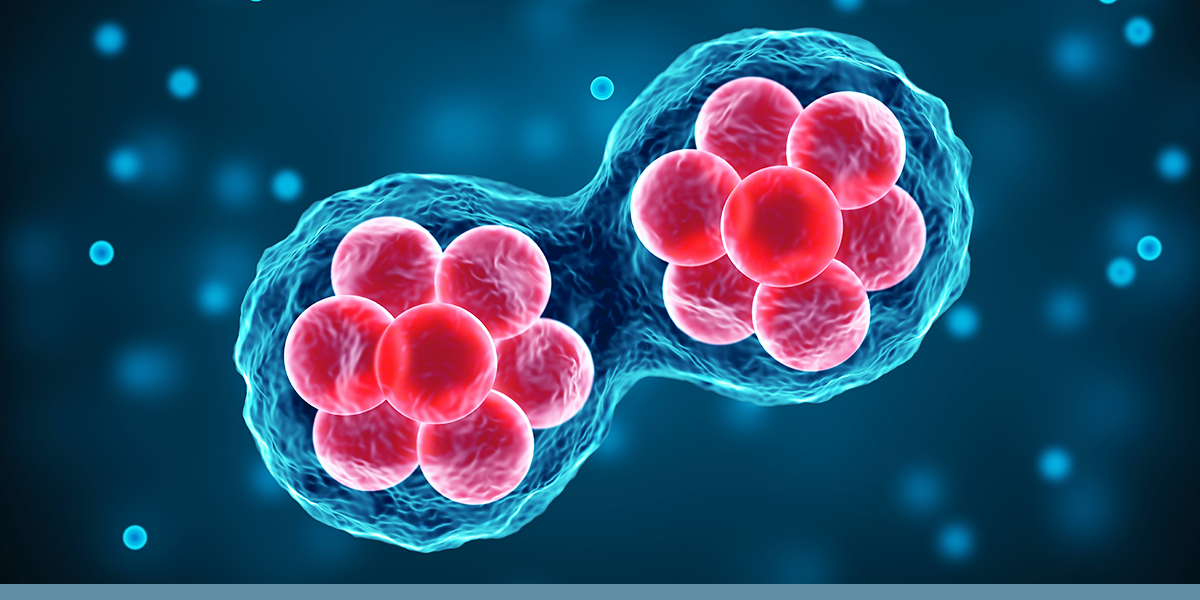 Klegerman Lab focuses on developing innovative liposomal and molecular targeting strategies to enhance the diagnosis and treatment of cardiovascular and other diseases.