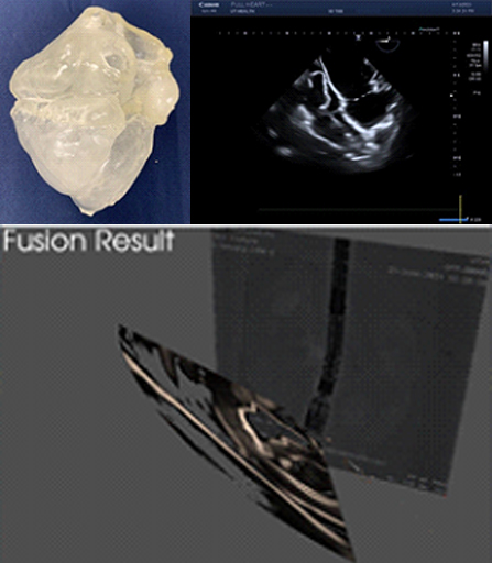 Stewart Lab - Figure 2