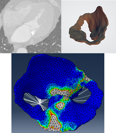 Stewart Lab - Figure 3