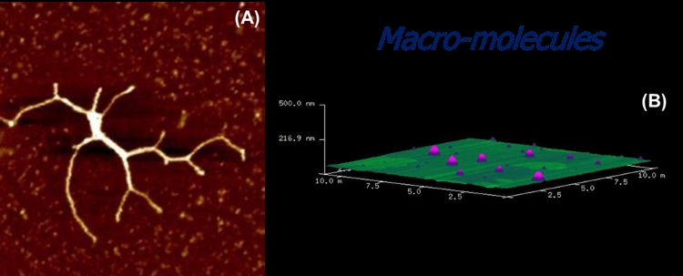 Zaske Lab - Figure 3