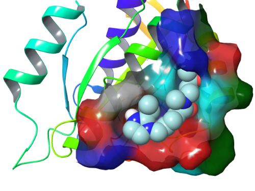 Allosteric Interaction of Potential K-RAS Inhibitors