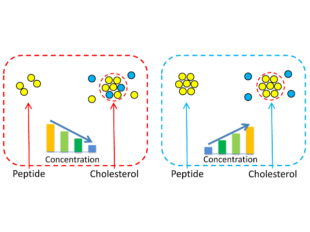 Effects of RAS and Cholesterol Concentrations on Nanocluster Properties