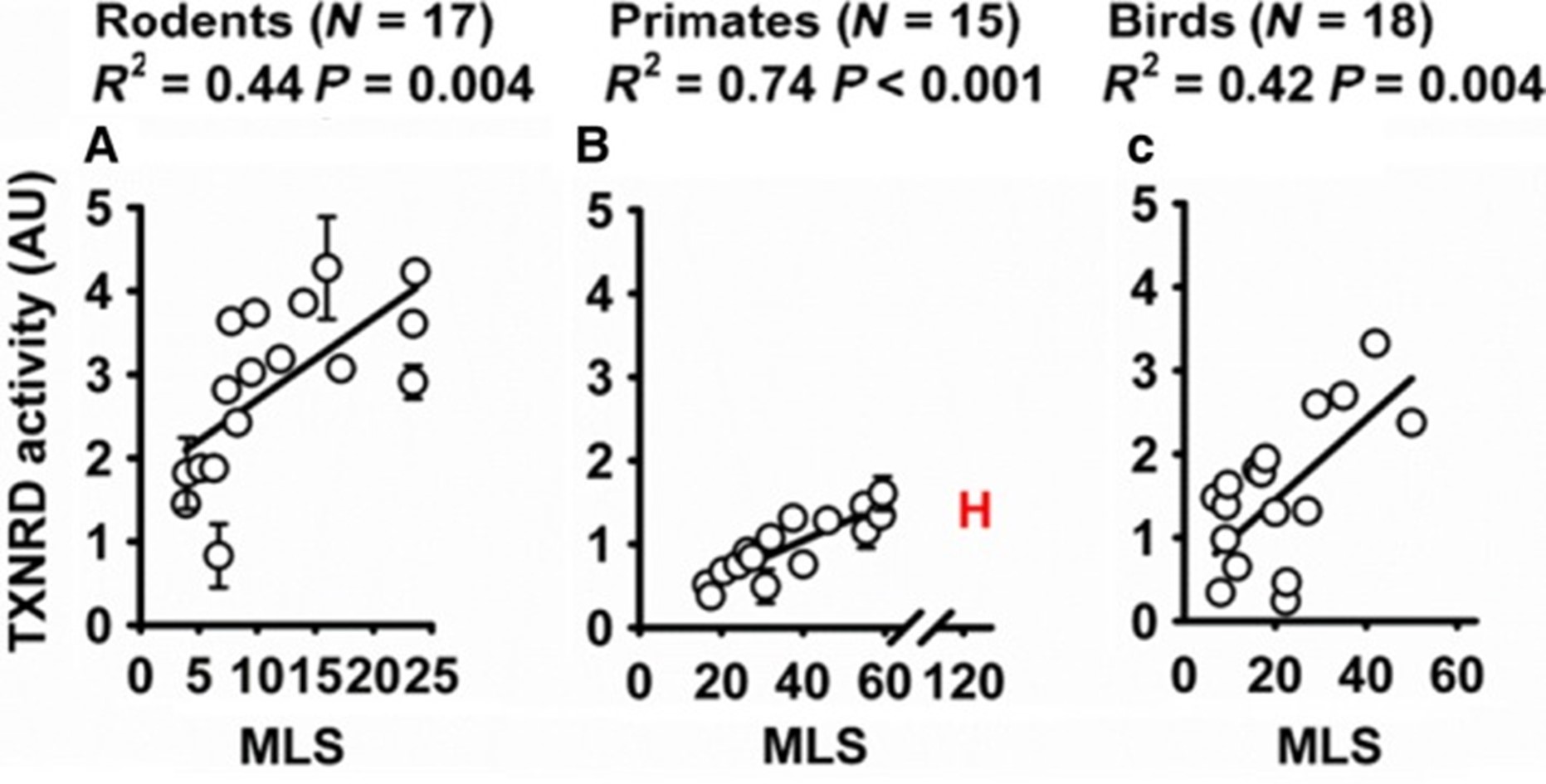 Mitochondrial Thioredoxin Pathway in Aging