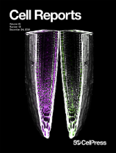 Cell Reports Cover