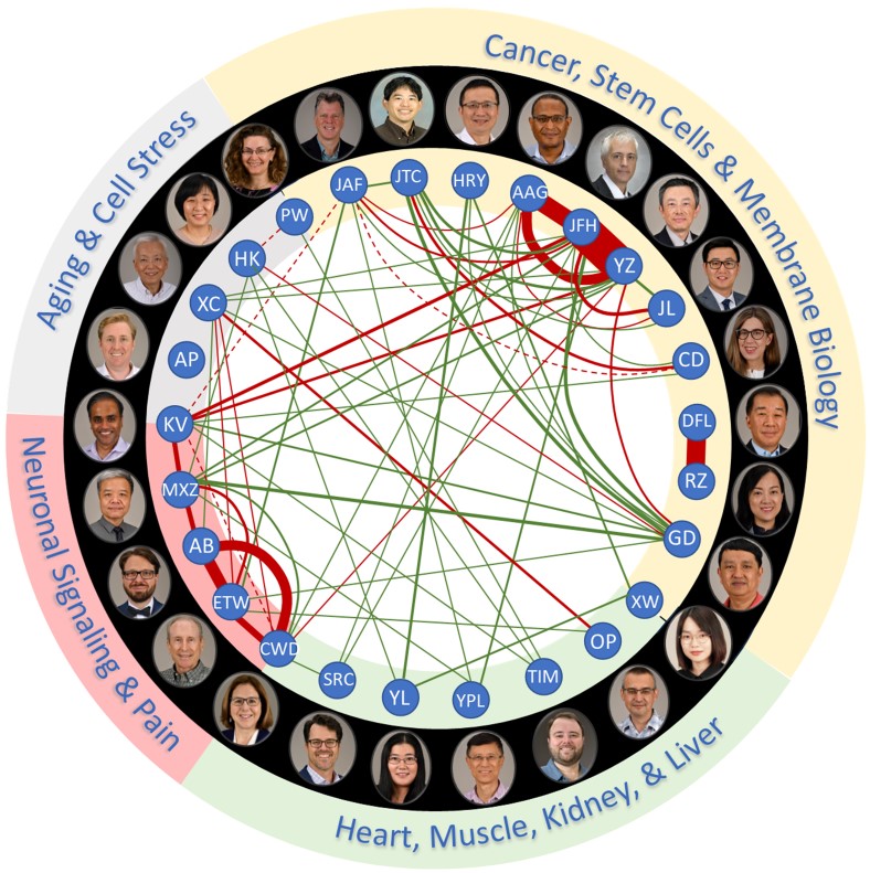 IBP Social Network