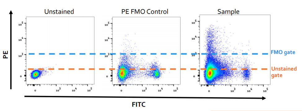 Example data showing the difference between unstained and FMO controls