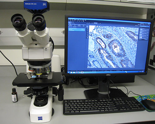 Imaging Center Brightfield Microscope