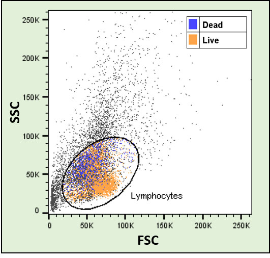 Example data showing similar scatter signals for both live and dead cells