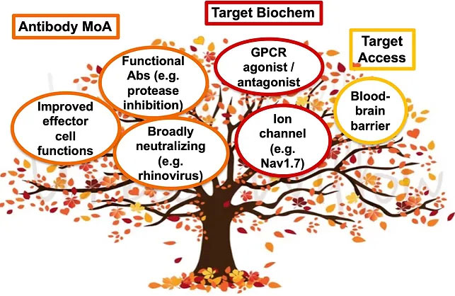 Illustration of High Hanging Fruits Tree with (3) Main Tiered Branches for Antibody MoA: Functional Abs (e.g. Protease Inhibition), Improved Effector Cell Functions and Broadly Neutralizing (e.g. Rhinovirus),  Target BioChem: GPCR Agonist/Antagonist, Ion Channel (e.g. Nav1.7), and Target Access: Blood-Brain Barrier Topics.
