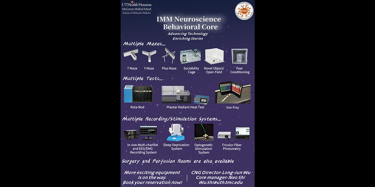 Behavioral core info flyer