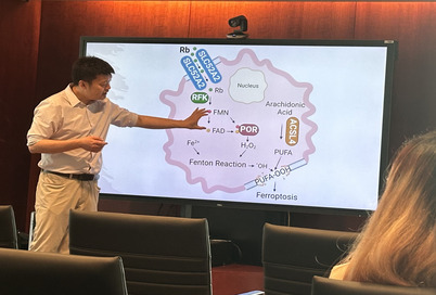 Long-Jun Wu standing in front of an image showing cellular contents