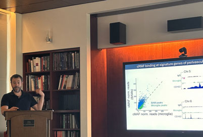 Dr. Brioschi's talk at the CNG Monthly Seminar