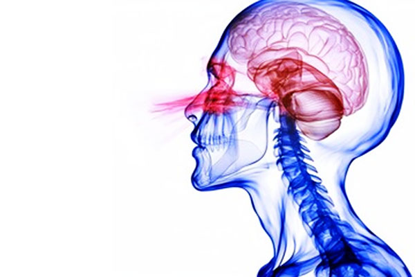 Cognitive Function in CRS