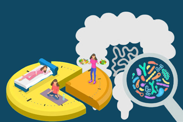 Timing & Gut Microbiome