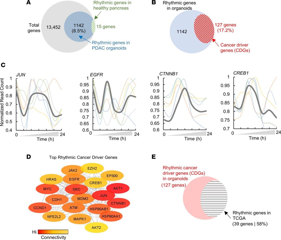 Precision Circadian Medicine