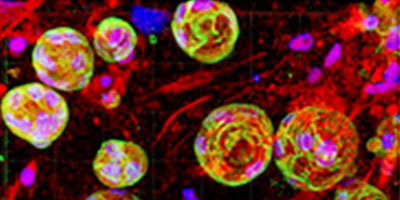 Explore Our Research