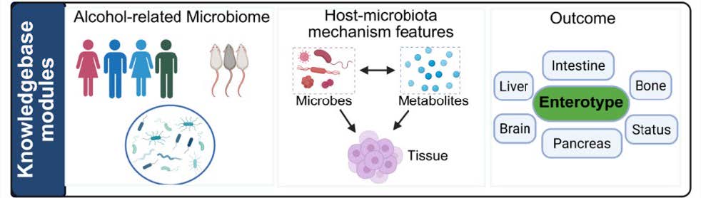 Microbiome in Organ Injury