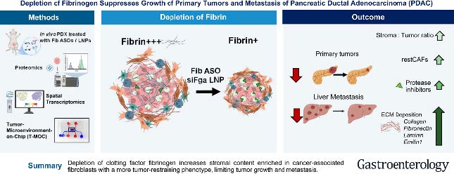 Depletion of Fibrinogen Suppresses Growth of Primary Tumors and Metastasis of Pancreatic Ductal Adenocarcinoma