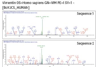 Complement Anaphylatoxin C5a-Induced Mouse Lymphatic Functions Modulate Interactions Between Endothelial Cells and T Lymphocytes