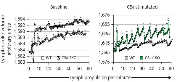 Complement Anaphylatoxin C5a-Induced Mouse Lymphatic Functions Modulate Interactions Between Endothelial Cells and T Lymphocytes