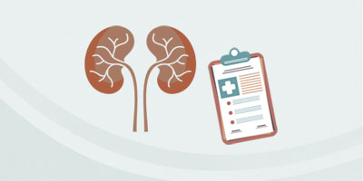 Nephrology Fellowship