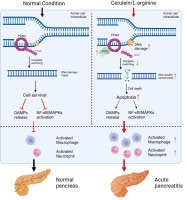 Comparative Evaluation of Droplet- and Picowell-
Based Single-Cell RNA Sequencing for Human Mucosal Biopsies