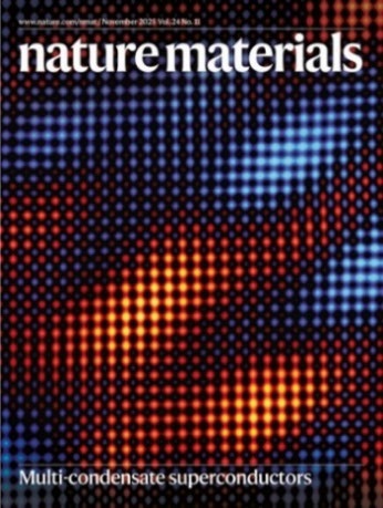 Engineered matrices reveal stiffness-mediated
chemoresistance in patient-derived pancreatic cancer organoid