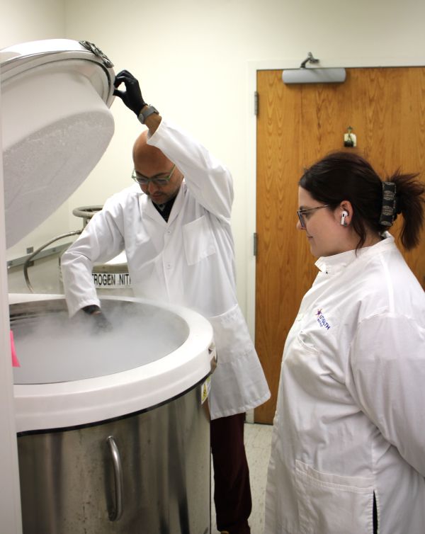 Researcher works with MD/PhD student to look for lung samples.