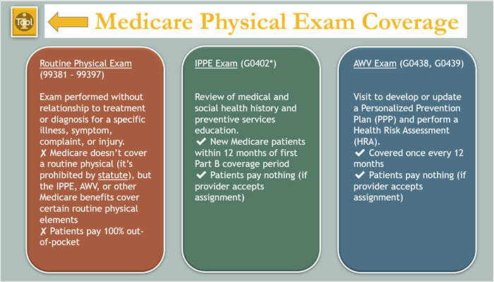 What Happens During a Wellness Visit & Exam?