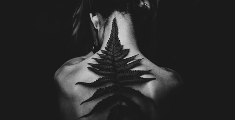 woman's back with a fern on it