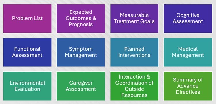 Colorful table of elements included in Care Plan