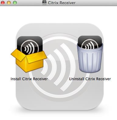 Citrix Receiver Icon