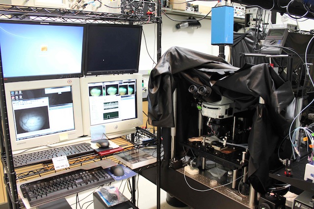 The rig of high-speed two-photon microscope