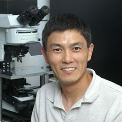 Ling-Gang Wu, M.D., Ph.D.