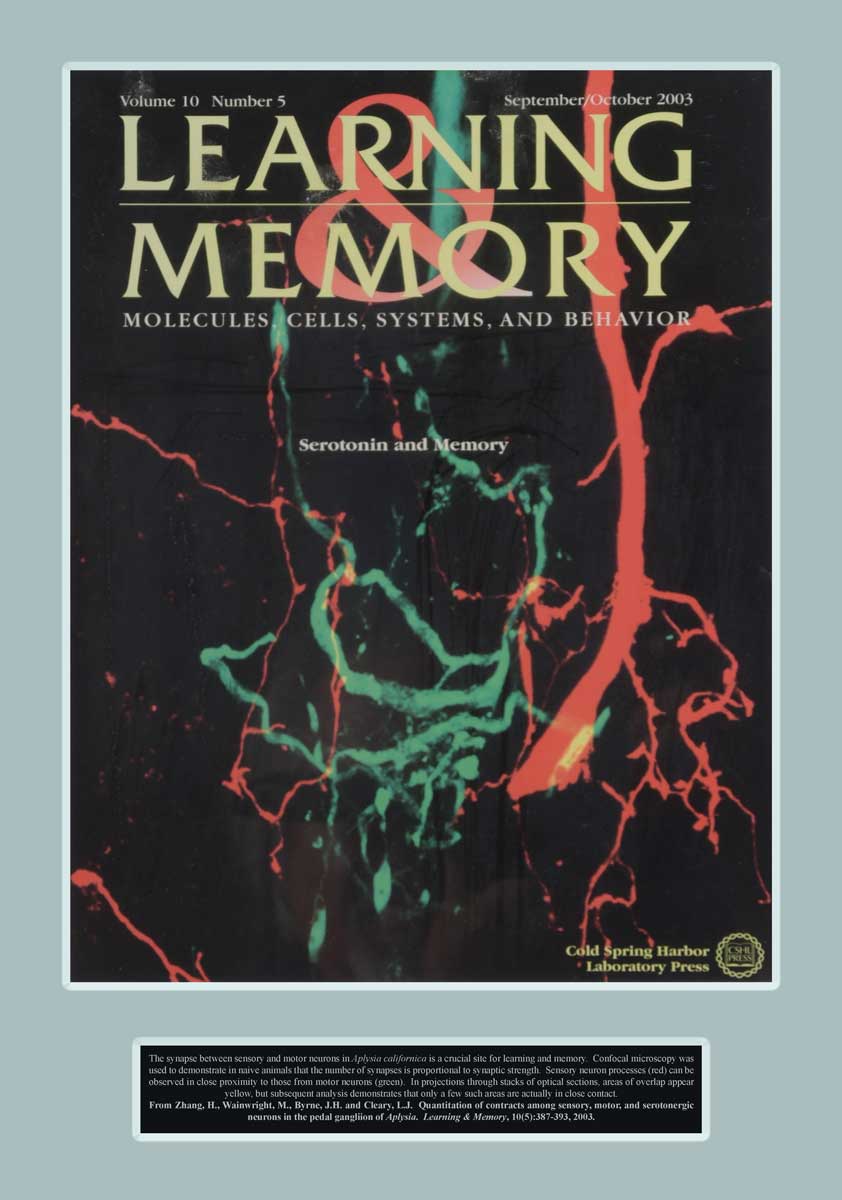 Learning & Memory Journal Cover