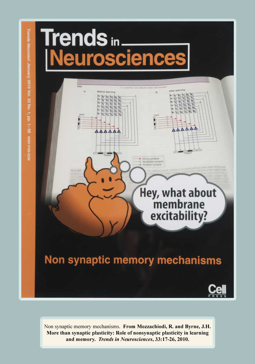 Trends in Neuroscience Journal Cover