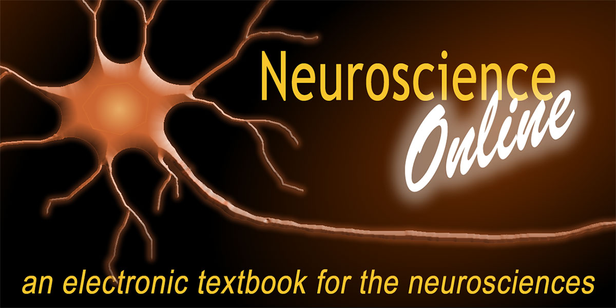 Neuroscience Online Logo
