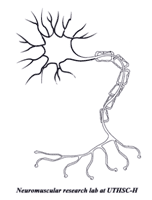 neuromuscular-logo
