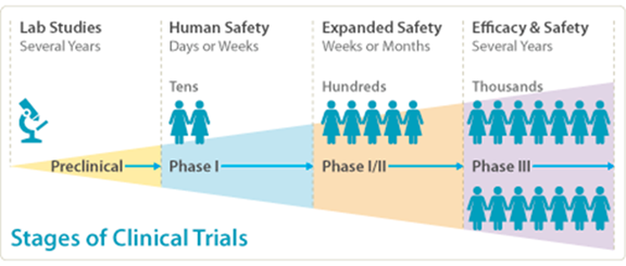 Stages of Clinical Trials