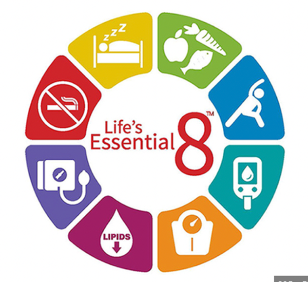 Life Essential 8 graphic